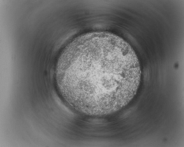 X0000113930637200910161852