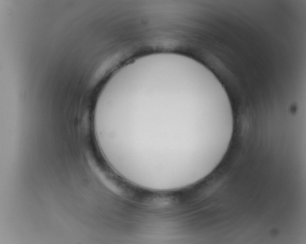 X0000113930638200910161852