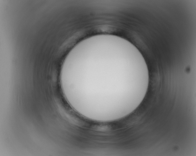 X0000113930639200910161852