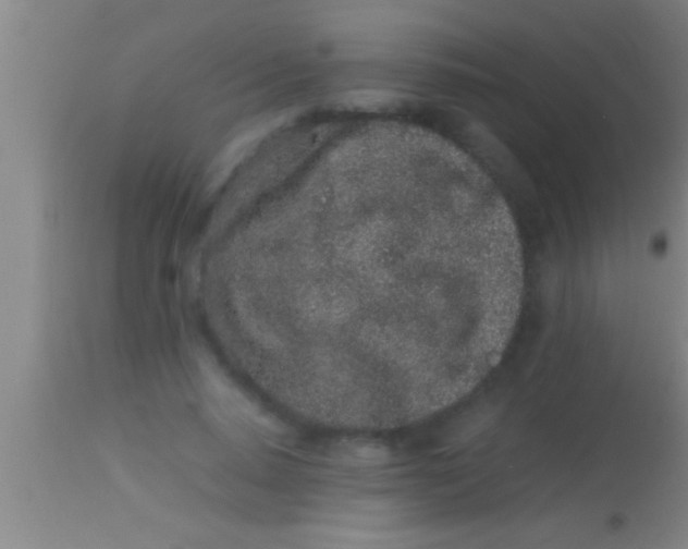 X0000113930640200910161852