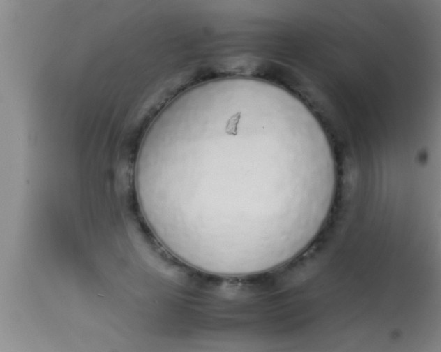 X0000113930641200910161852