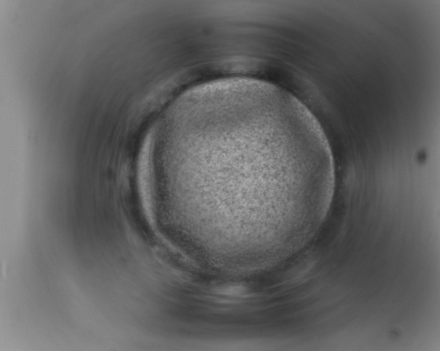 X0000113930643200910161852