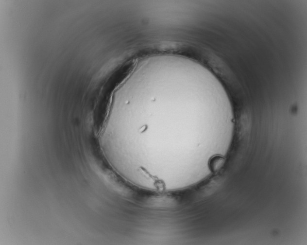 X0000113930644200910161852