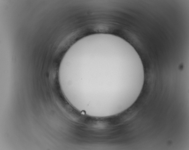 X0000113930645200910161852