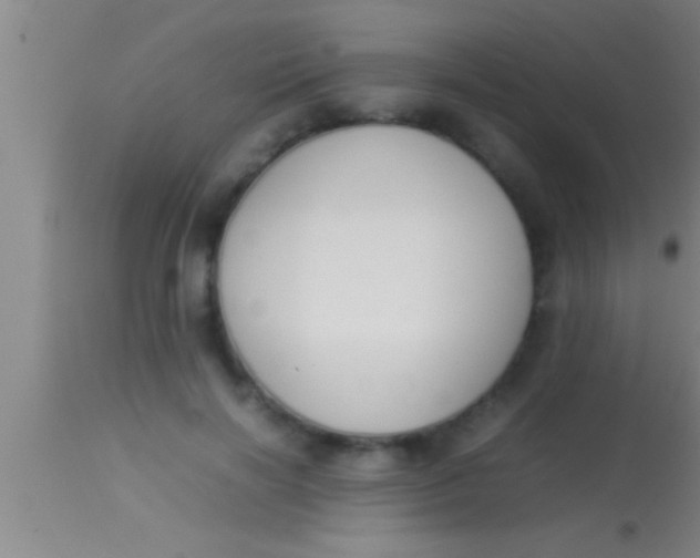 X0000113930646200910161852