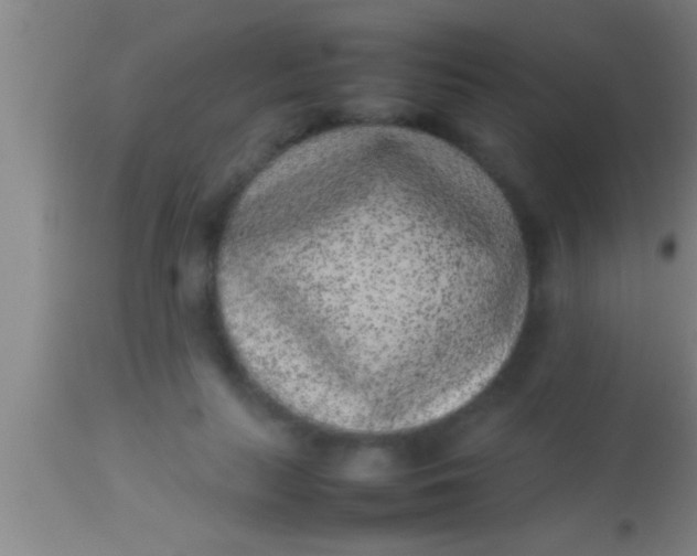 X0000113930647200910161852