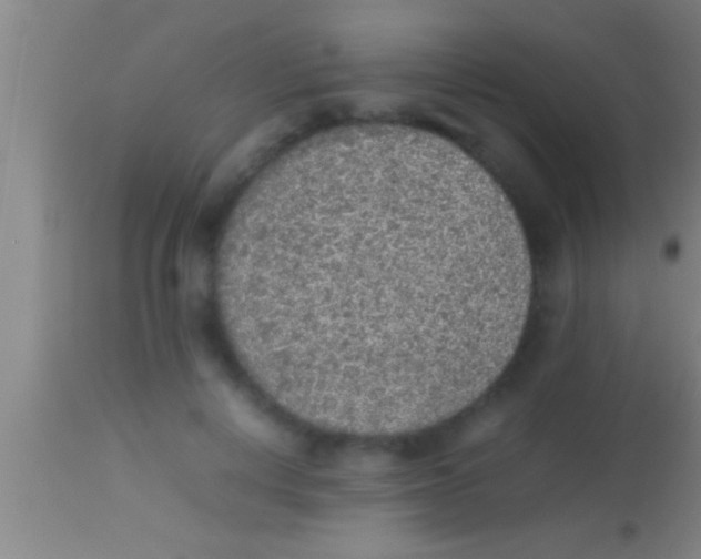 X0000113930648200910161852