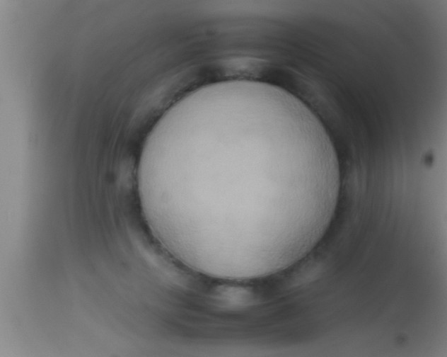 X0000113930649200910161852