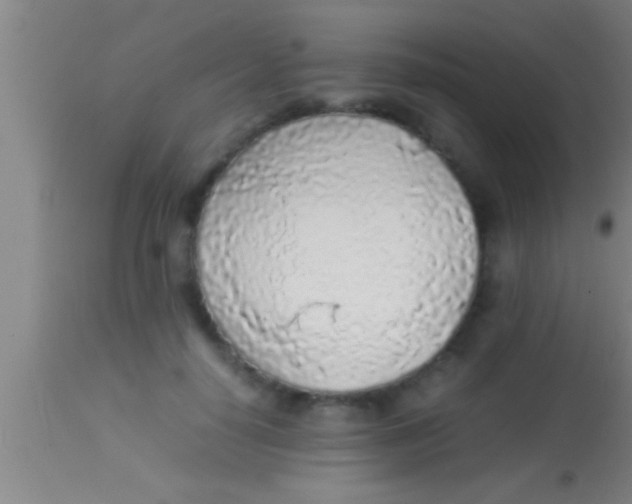 X0000113930650200910161852