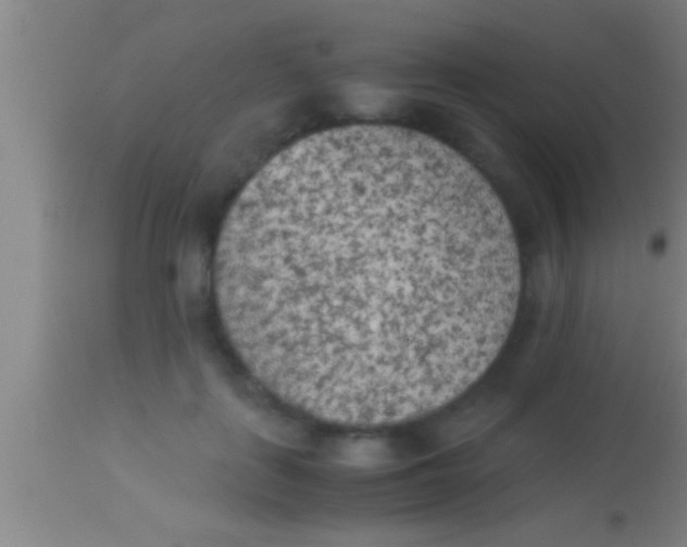 X0000113930651200910161852