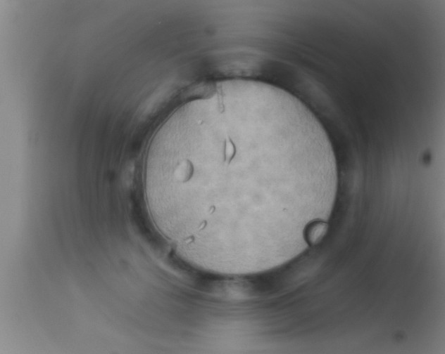 X0000113930652200910161852