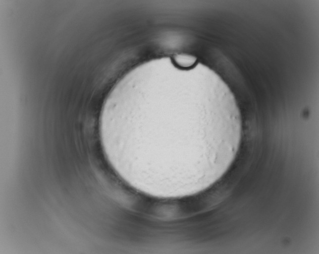 X0000113930653200910161852