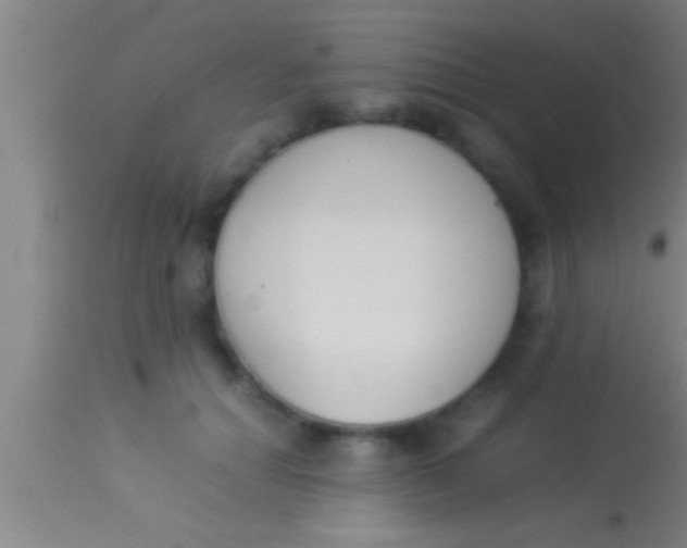 X0000113930654200910161852