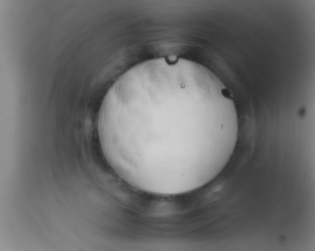 X0000113930655200910161852