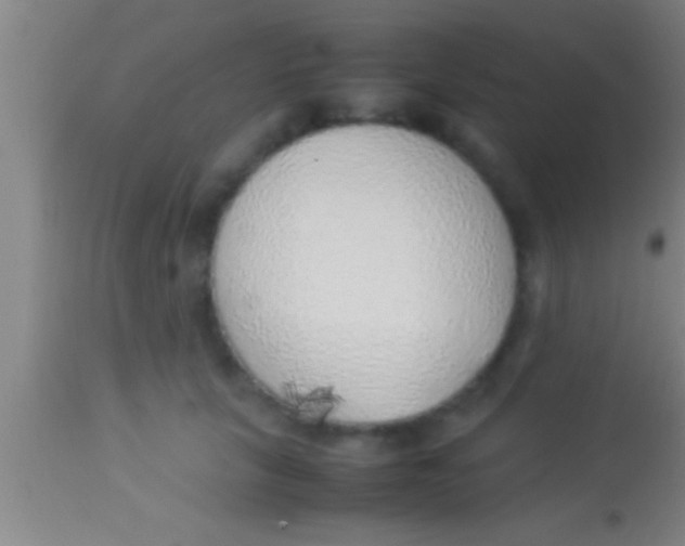 X0000113930657200910161852