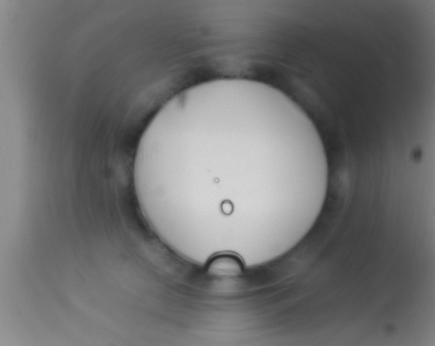 X0000113930658200910161852