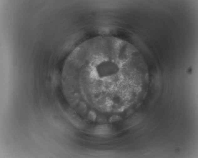 X0000113930659200910161852