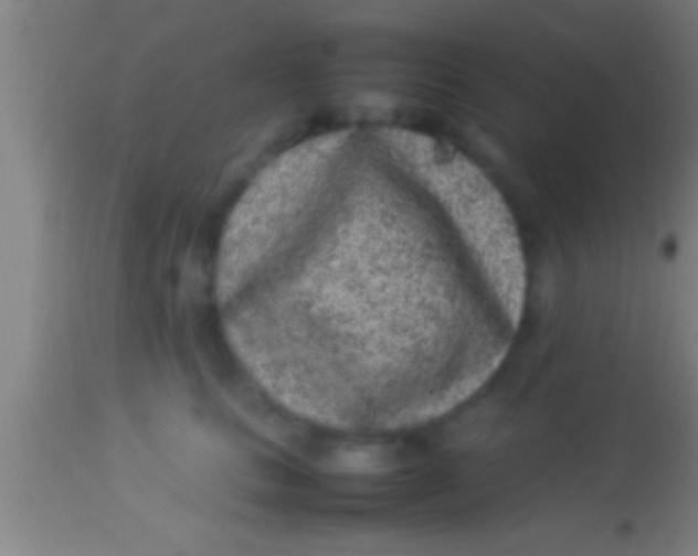 X0000113930661200910161852