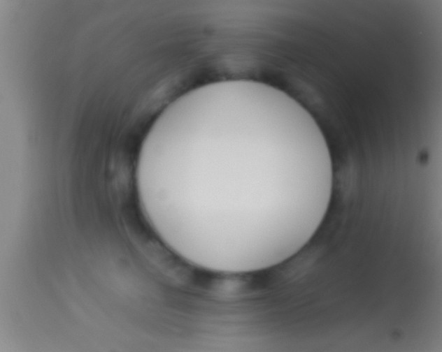 X0000113930662200910161852