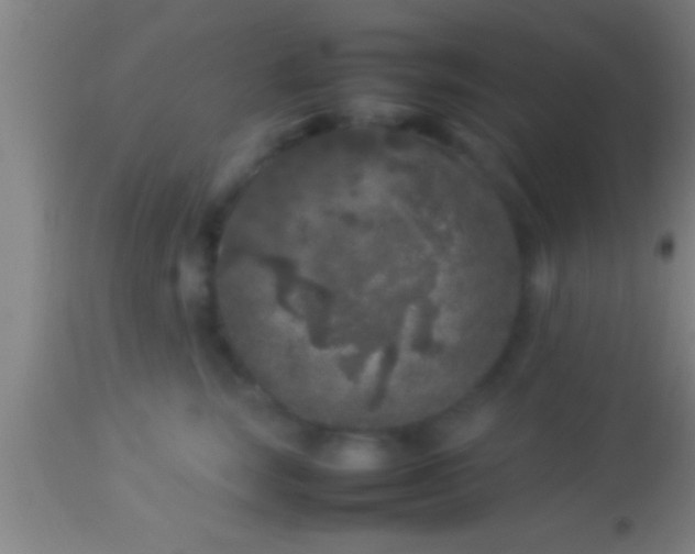 X0000113930663200910161852