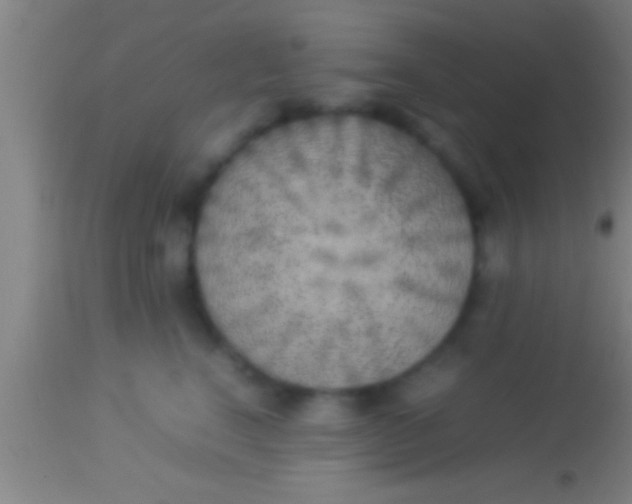 X0000113930664200910161852