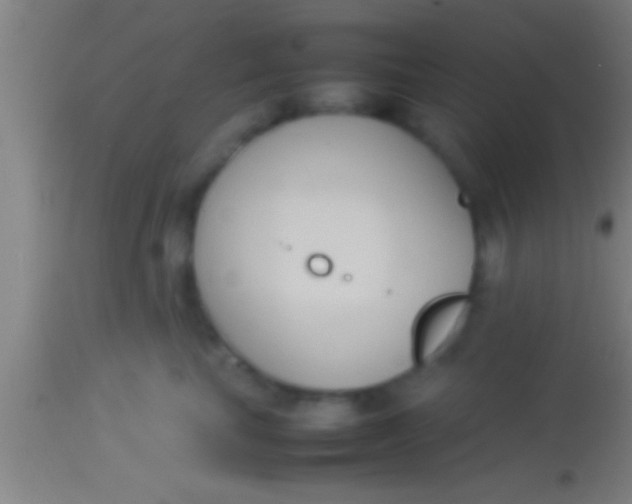 X0000113930665200910161852