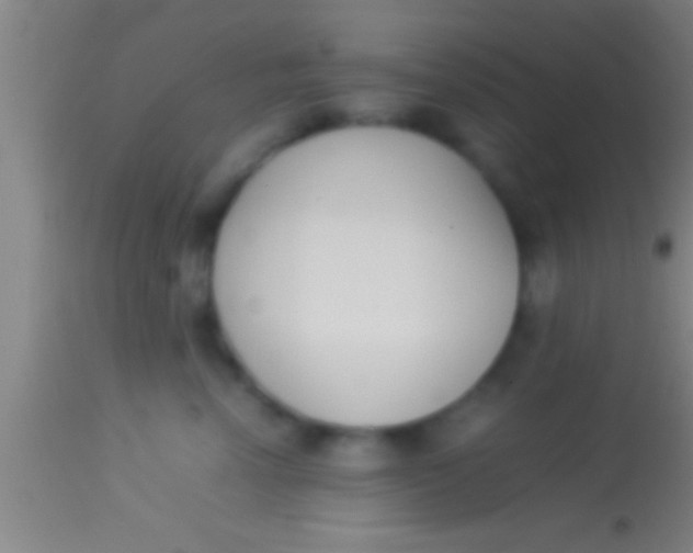 X0000113930666200910161852