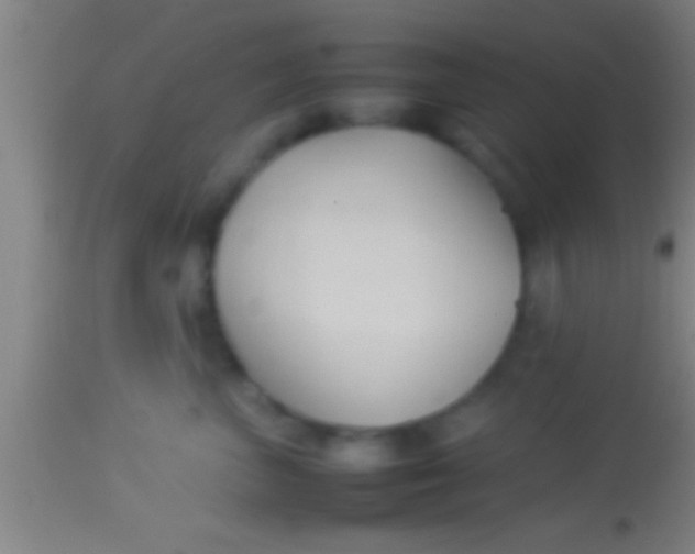 X0000113930667200910161852