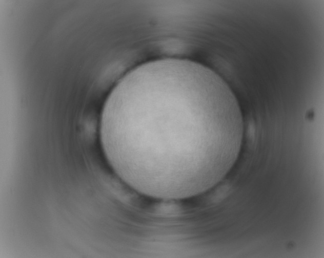 X0000113930668200910161852