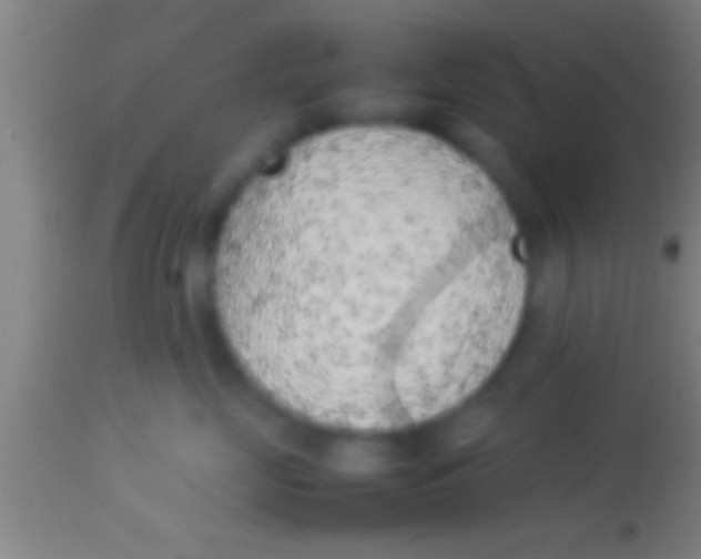 X0000113930669200910161852