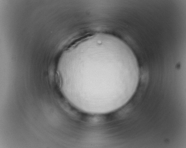 X0000113930670200910161852