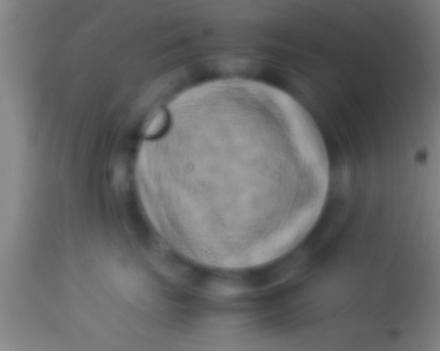 X0000113930671200910161852