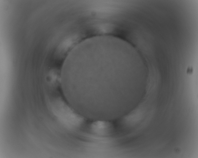 X0000113930672200910161852