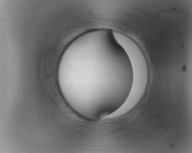 X0000113930673200910161852