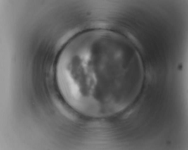 X0000113930674200910161852