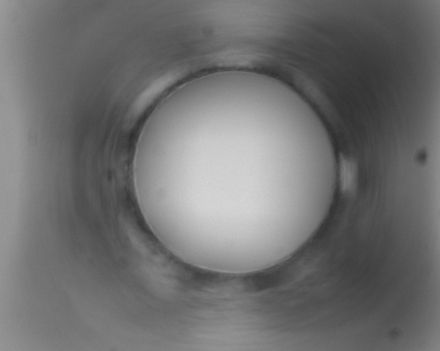 X0000113930675200910161852