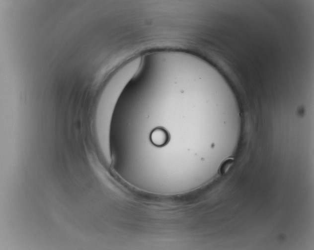 X0000113930677200910161852