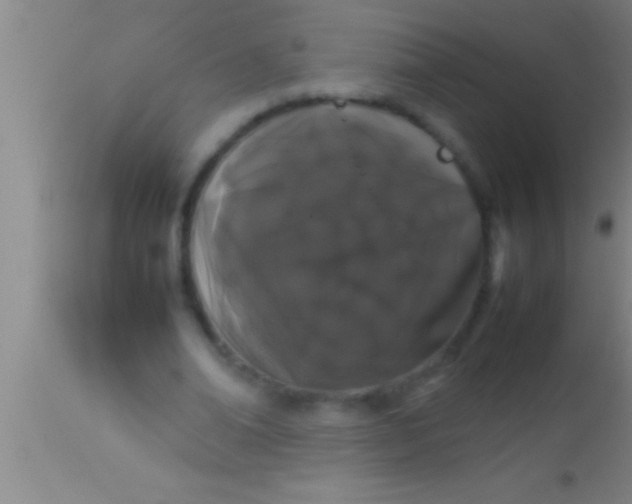 X0000113930678200910161852