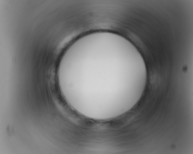 X0000113930680200910161852