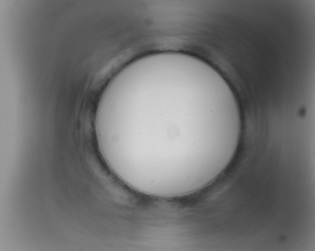 X0000113930681200910161852