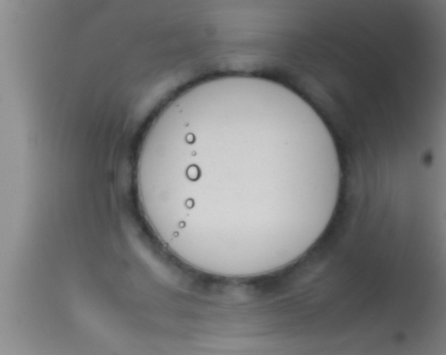 X0000113930683200910161852