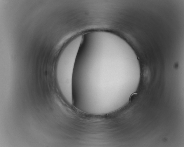 X0000113930684200910161852