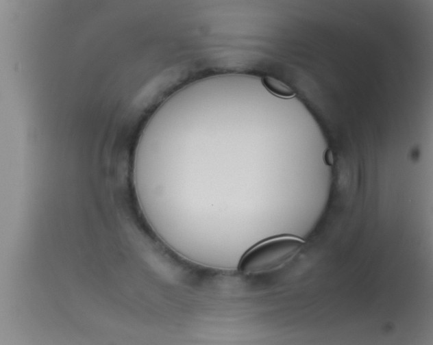 X0000113930685200910161852