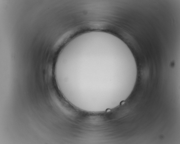 X0000113930686200910161851