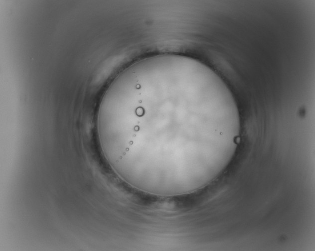 X0000113930687200910161851