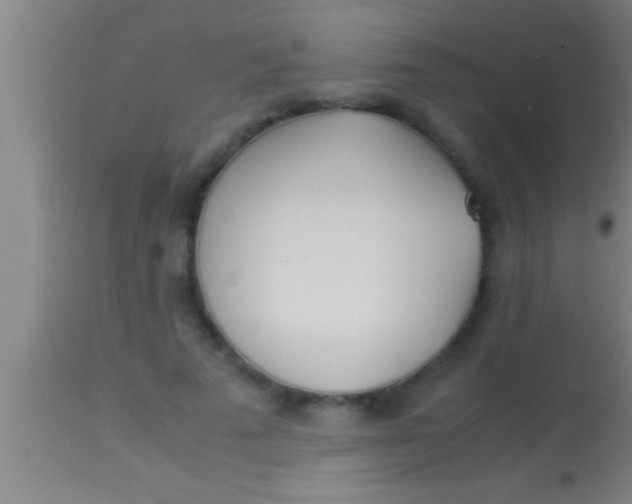 X0000113930689200910161851