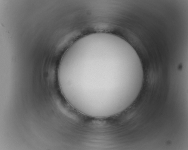 X0000113930690200910161851