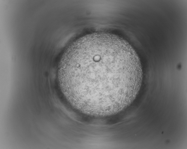 X0000113930691200910161851