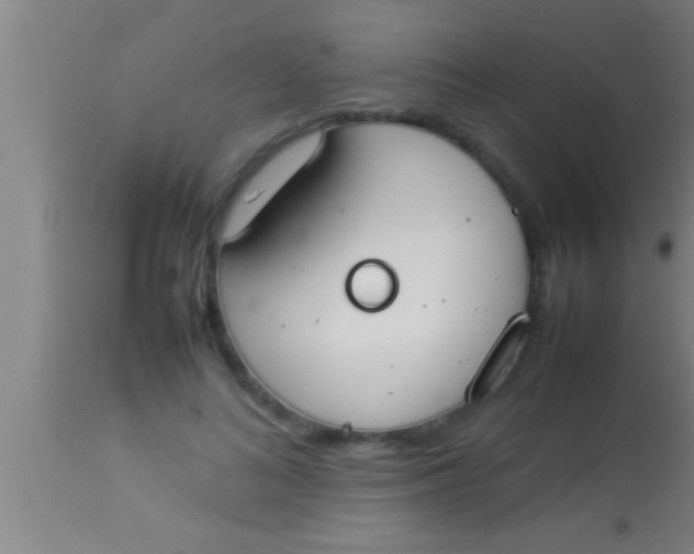 X0000113930692200910161851