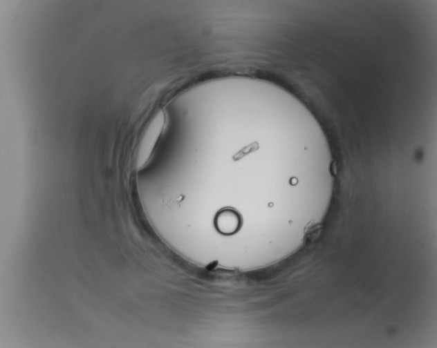 X0000113930693200910161851